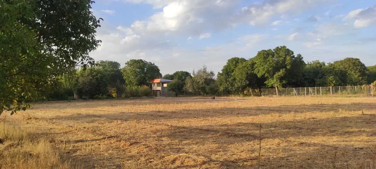 زمین کشاورزی به متراژ۳۲۹۲متر