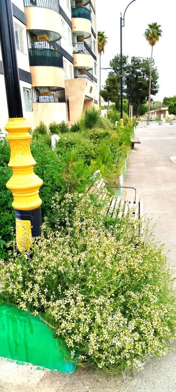 مسکن مهر لپویی