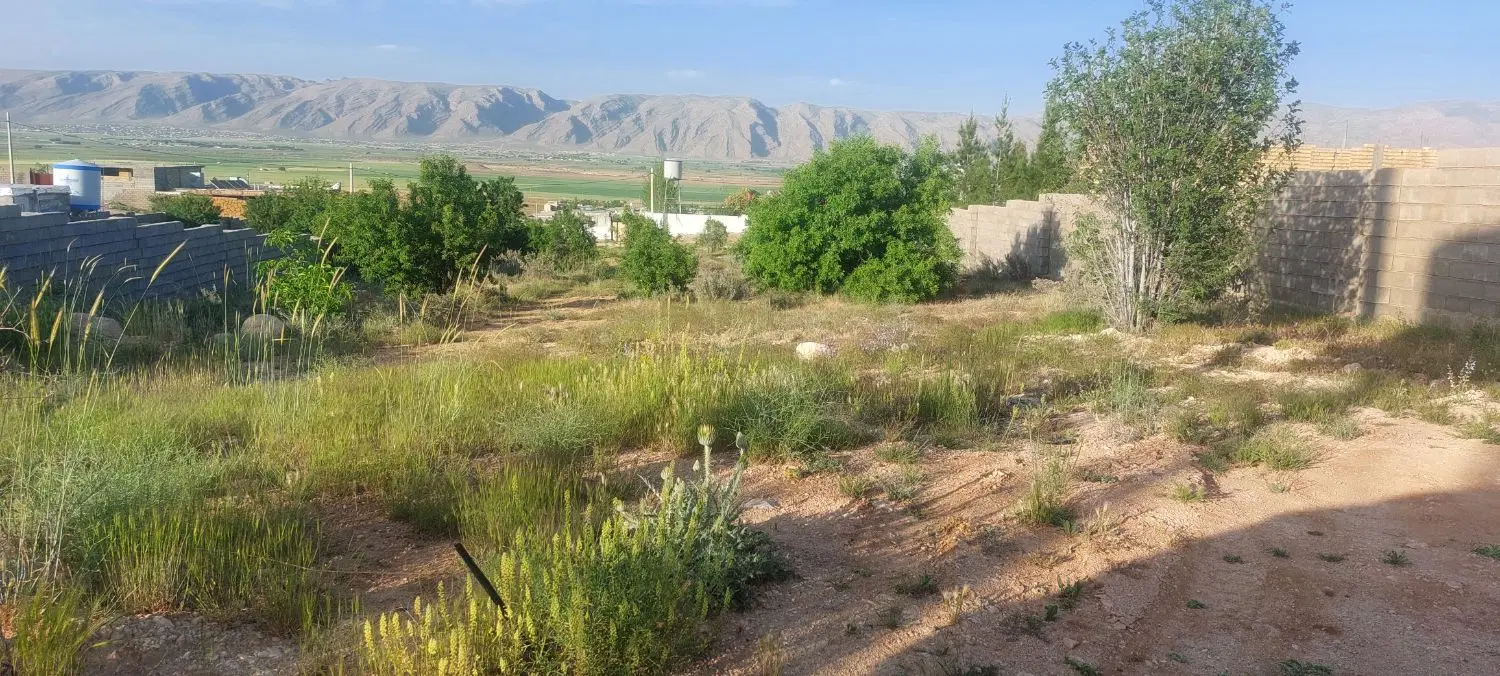 زمین کیان آباد(شاپور جان)