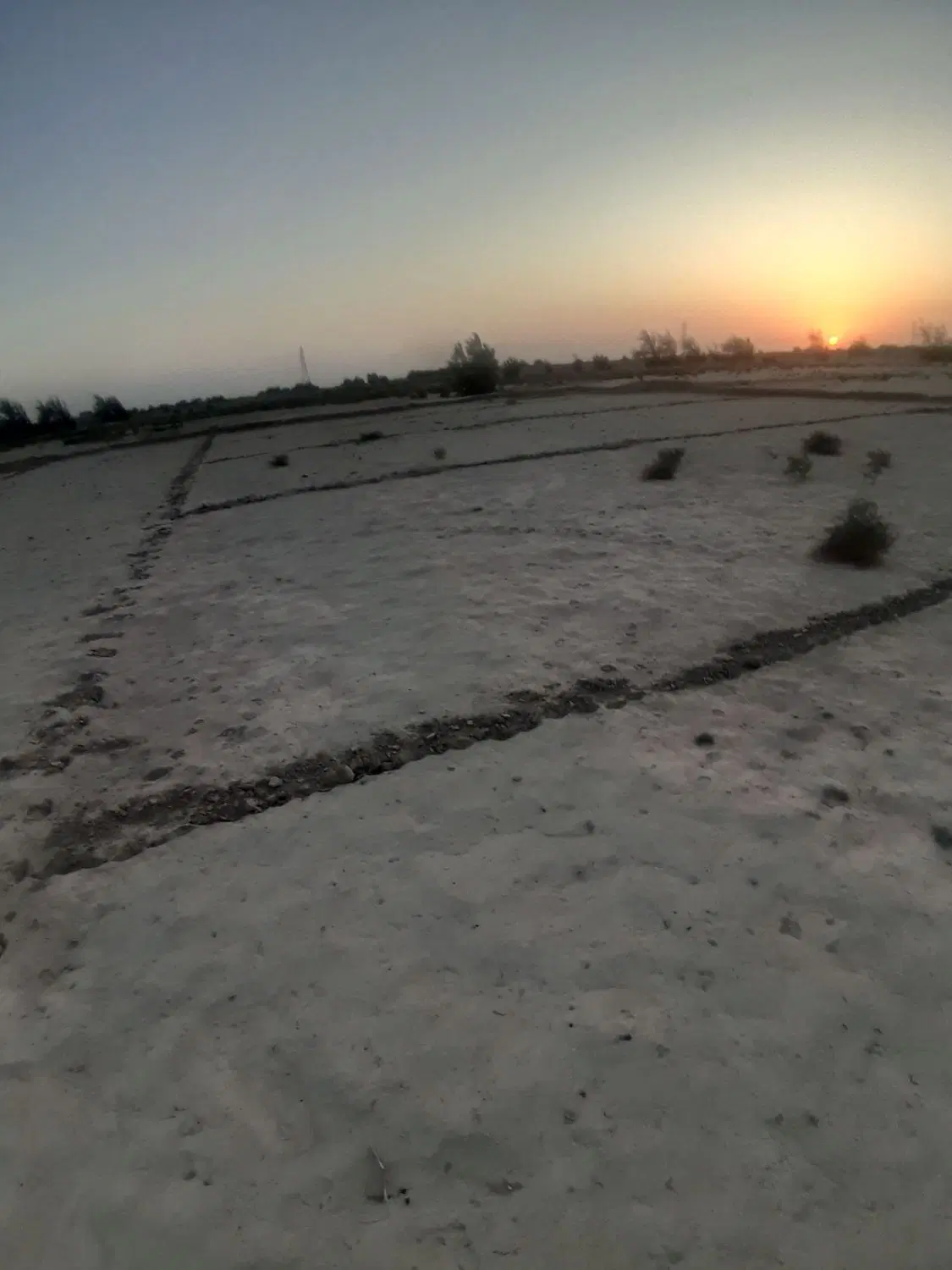 زمین