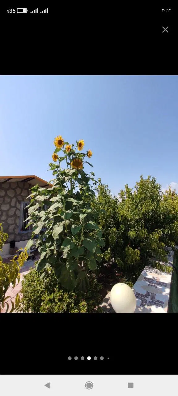 باغ ویلایی در شبستر شند آباد