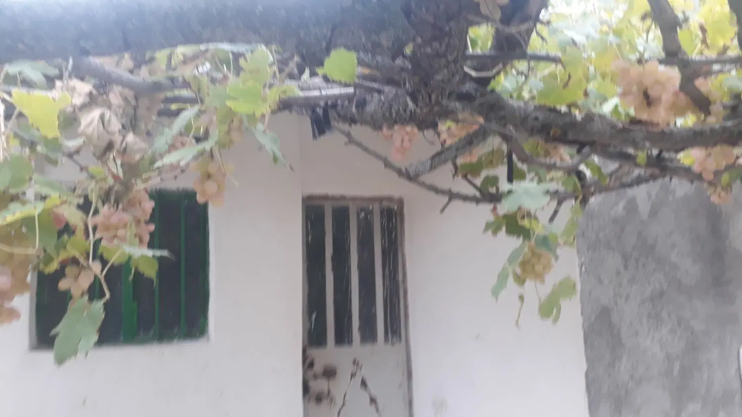 خانه ویلایی مشترک صا حبخانه یک حاج خانم تنها است