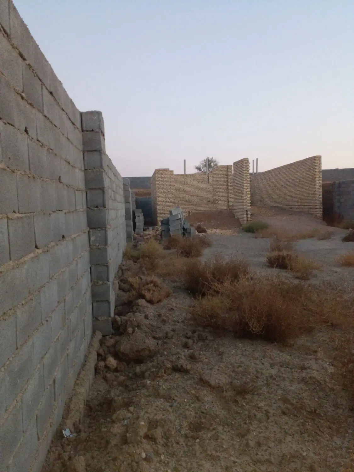 زمین چهاردیواری باغی