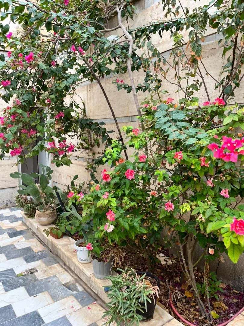 منزل ویلایی دلباز