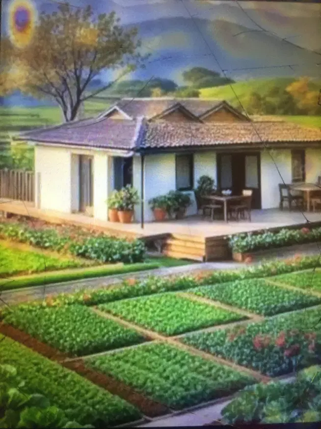 اجاره۶هکتار زمین مسطح آماده کشت(فوری)