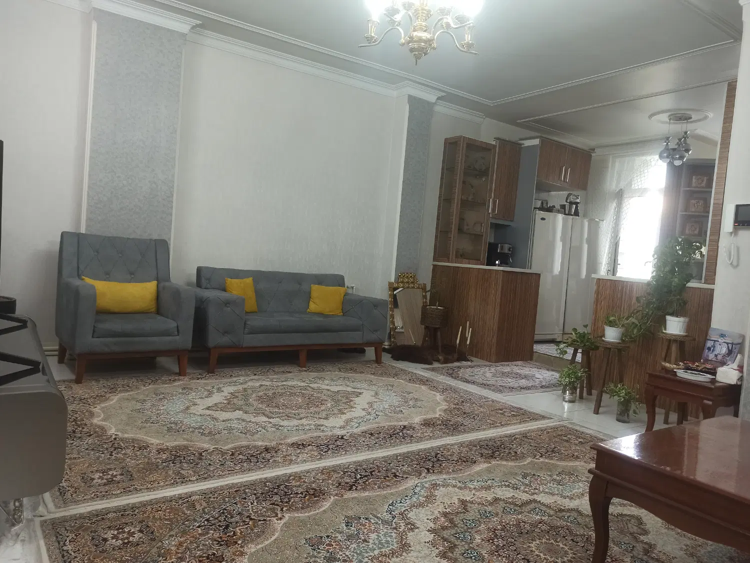 ۶۶متری تک واحدی دو خواب شیک