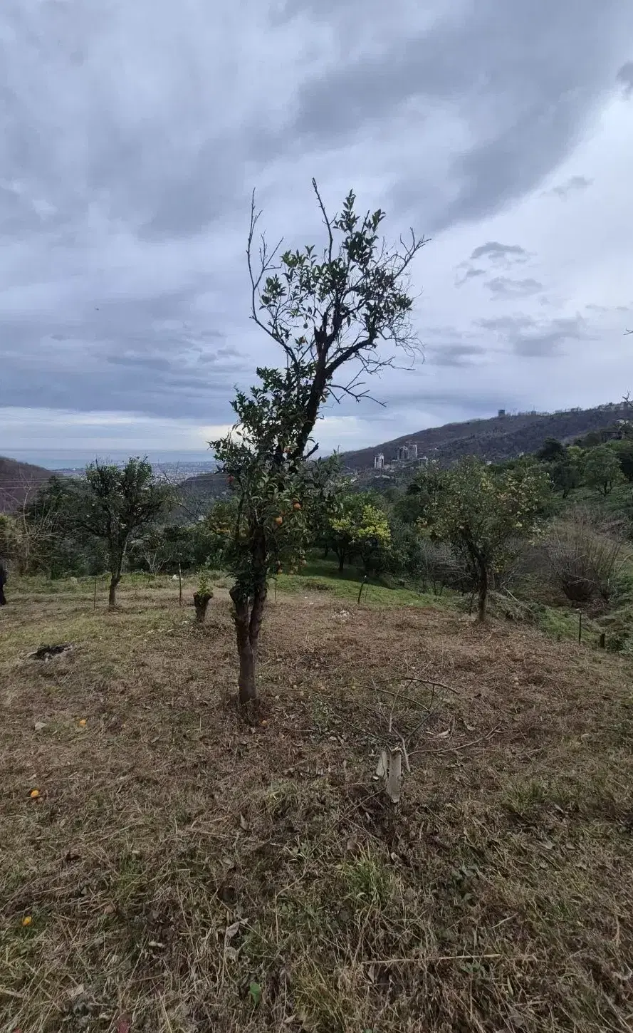 زمین اربکله تکرار نشدنی
