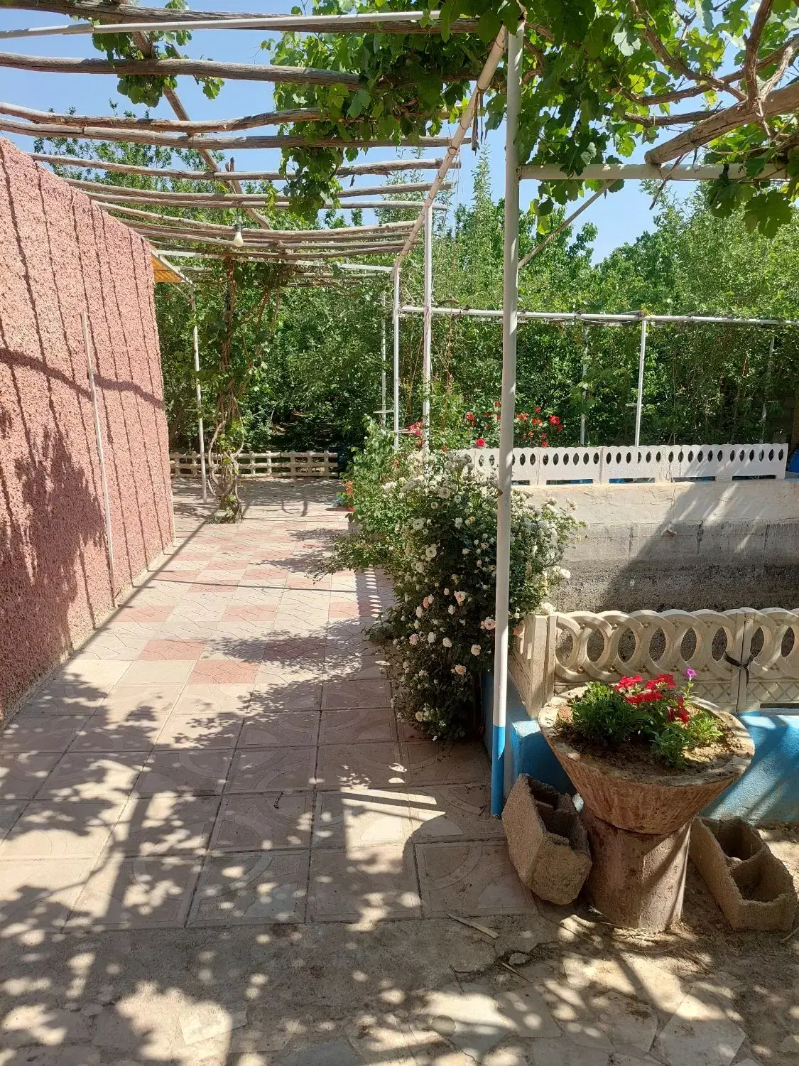 اجاره باغ سالانه    قلعه سفید
