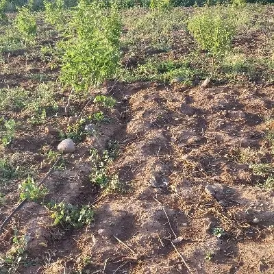 تجاری مسکونی اولین نبش از شهرک قلعه
