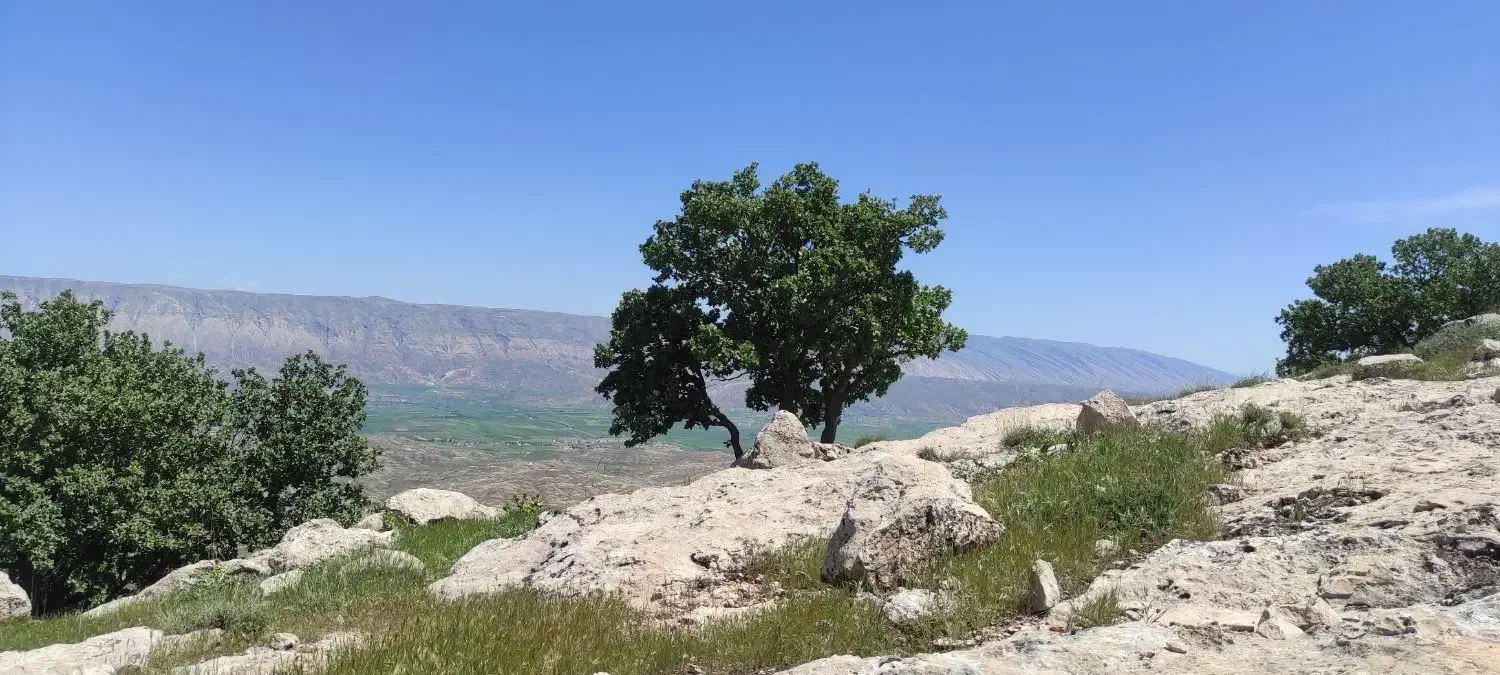 فروش خانه قدیم ساخت ، موقعیت مرکز شهر