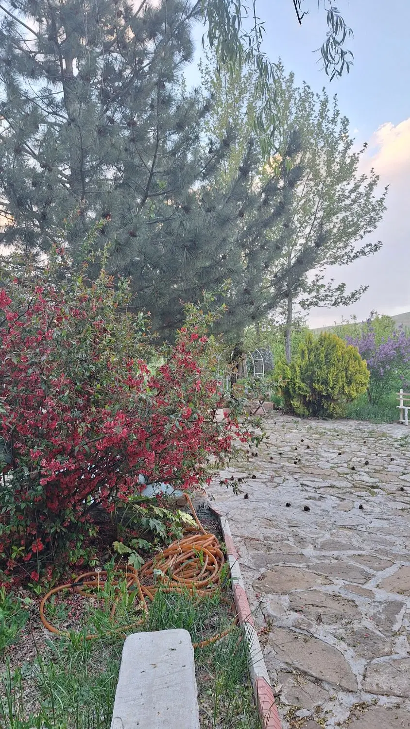 باغ ویلایی