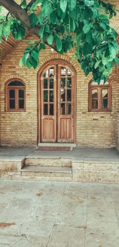 ملک کلنگی فرصتی محدود برای سرمایه گذاری