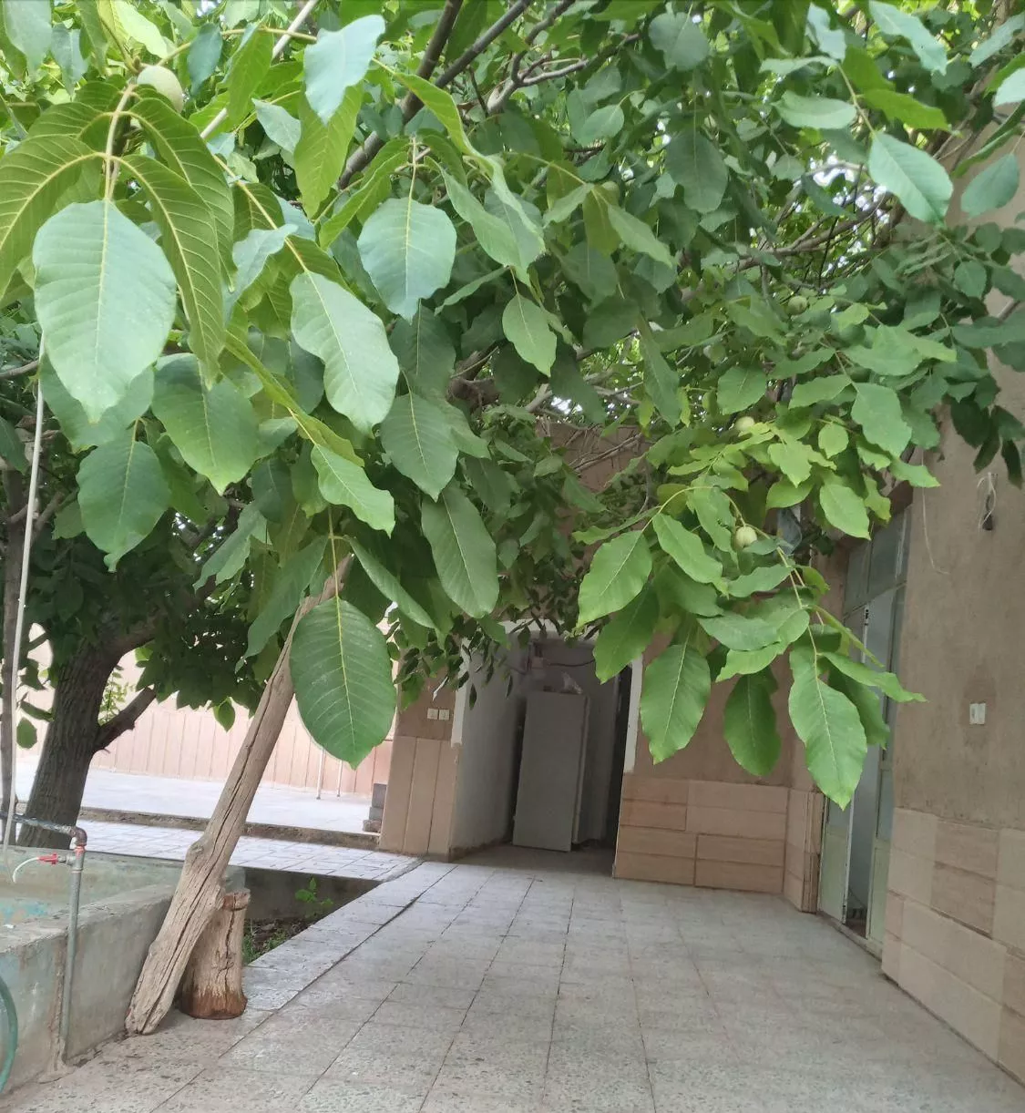 اجاره روزانه خانه باغ مهریز