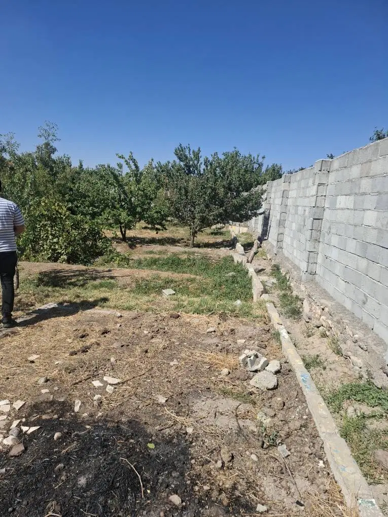باغ در اسکو