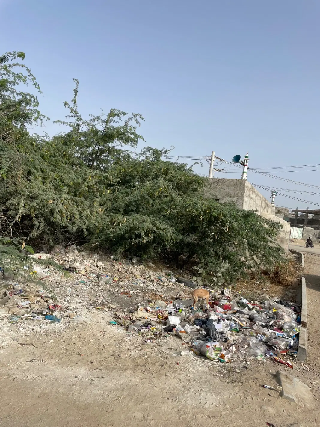 زمین ۲۵۰ متری مرادباد سر نبش