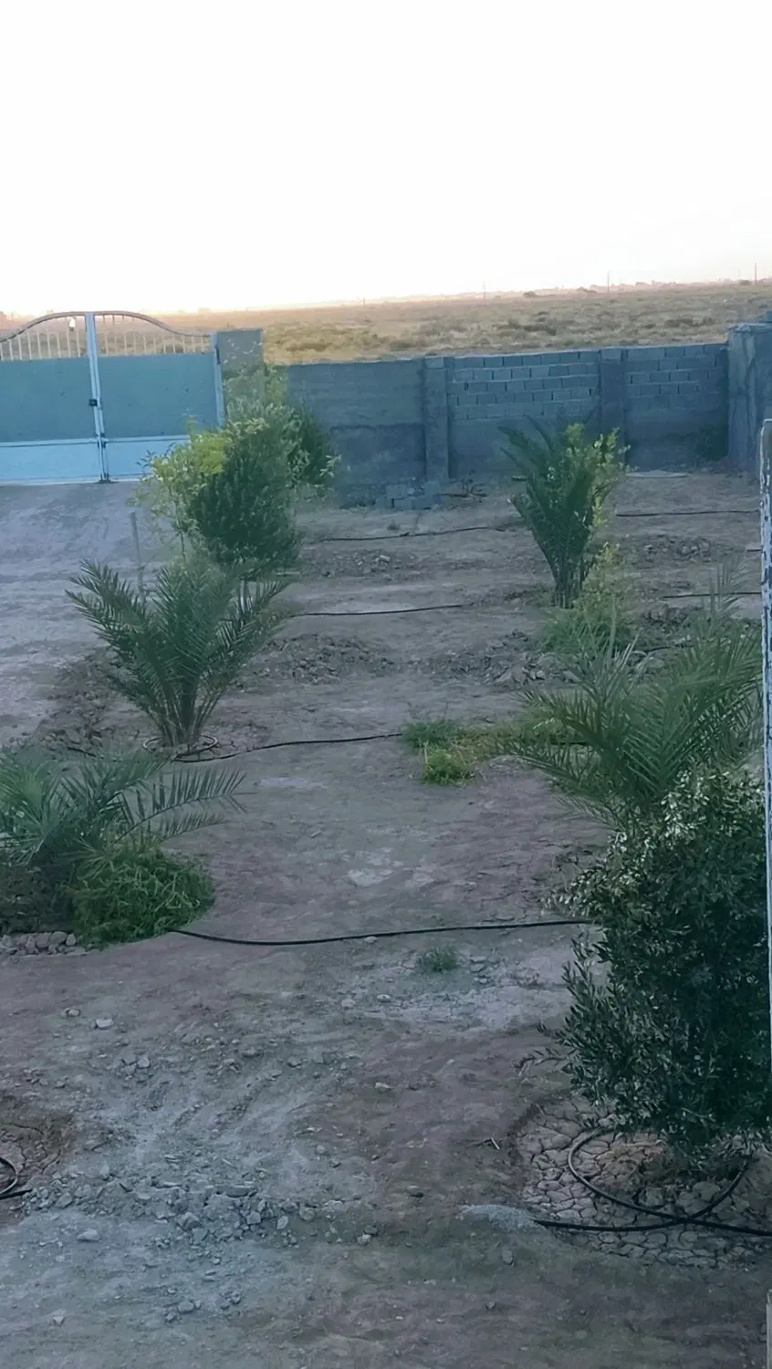 باغ فروشی