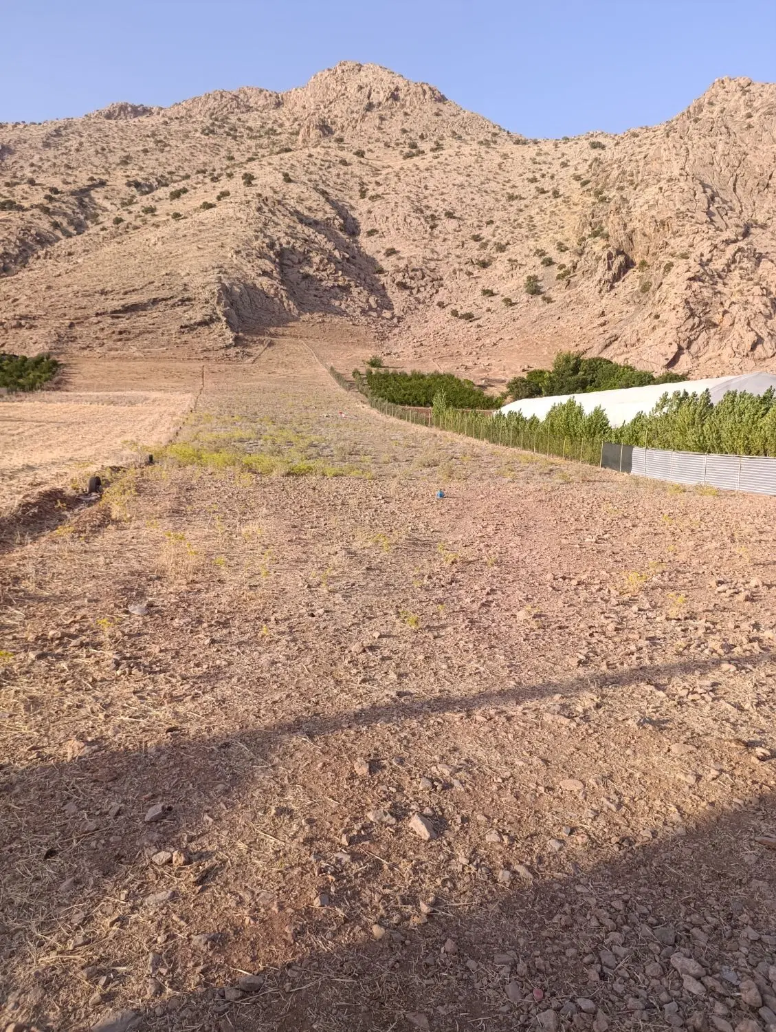 زمین کشاورزی