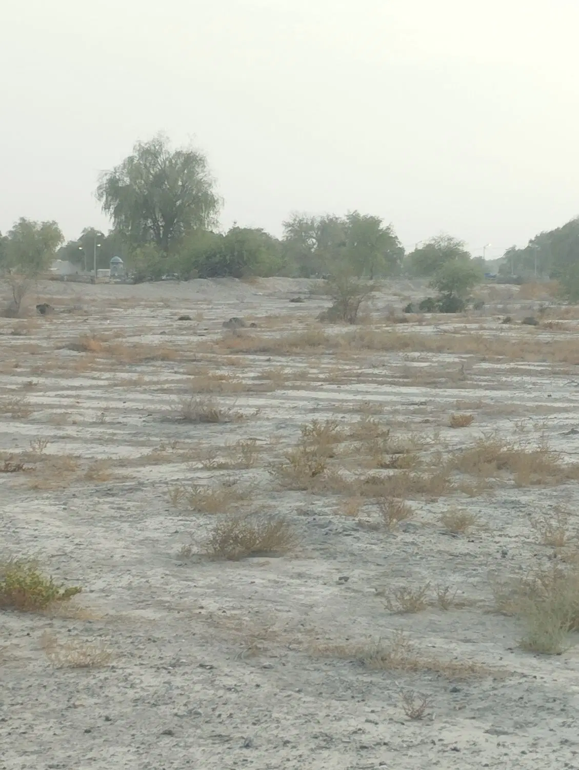 زمین