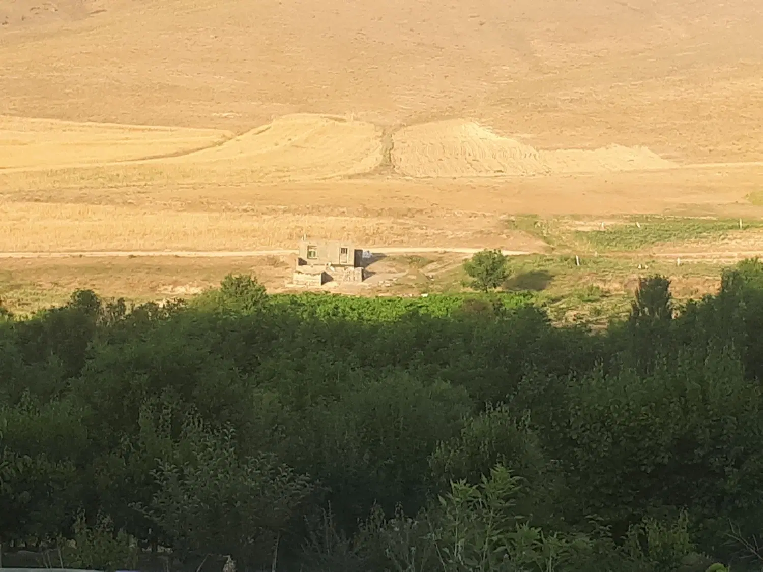 باغ در روستای ایوک