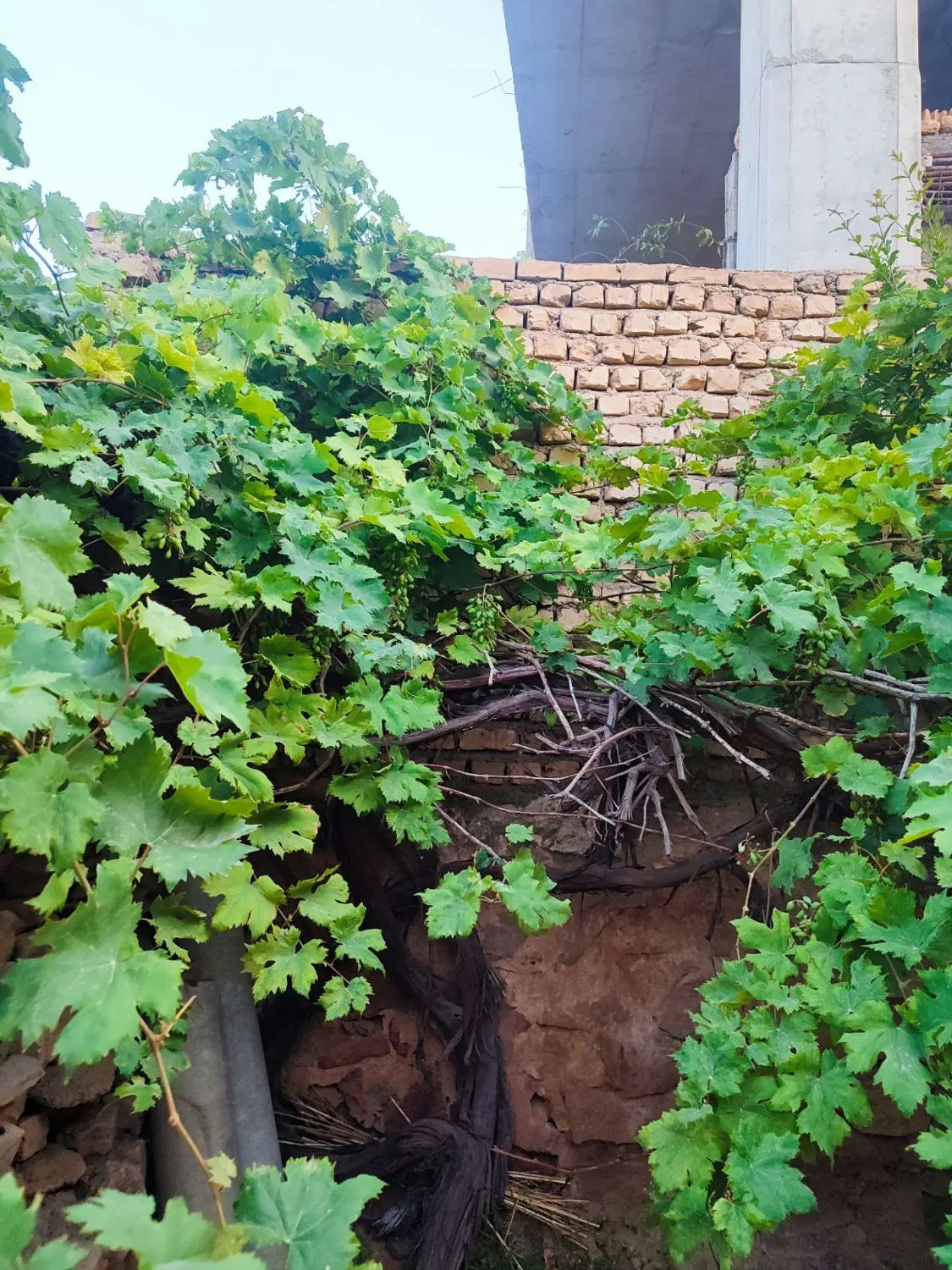 خانه ویلایی
