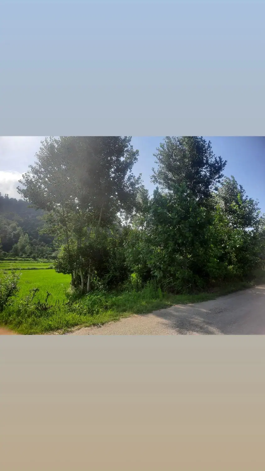 زمین باغی
