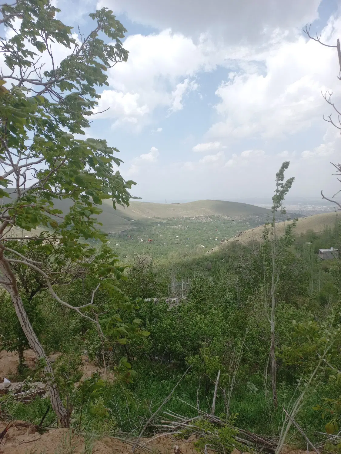 زمین باغی سیلوار دره مراد بیگ
