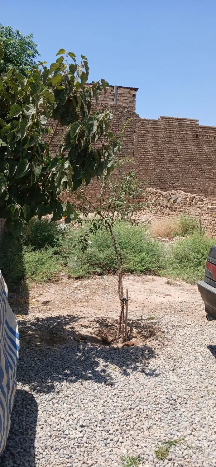 زمین ۷۲ متر روستای باغخواص