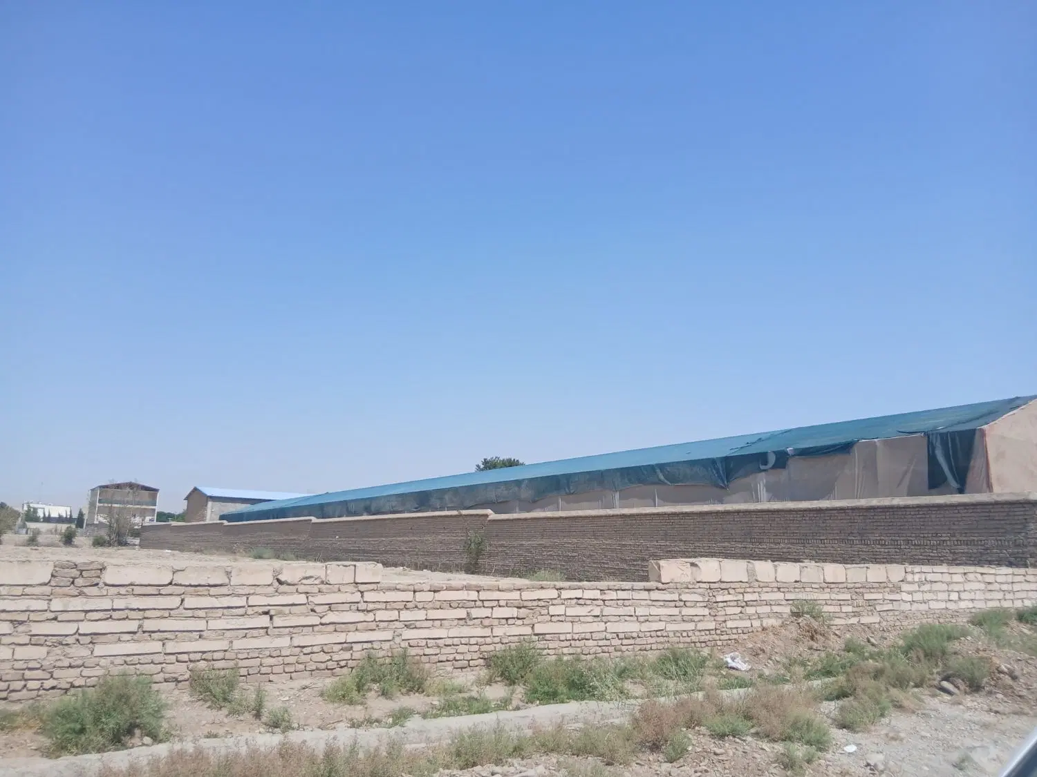 زمین آلوئک گلزار