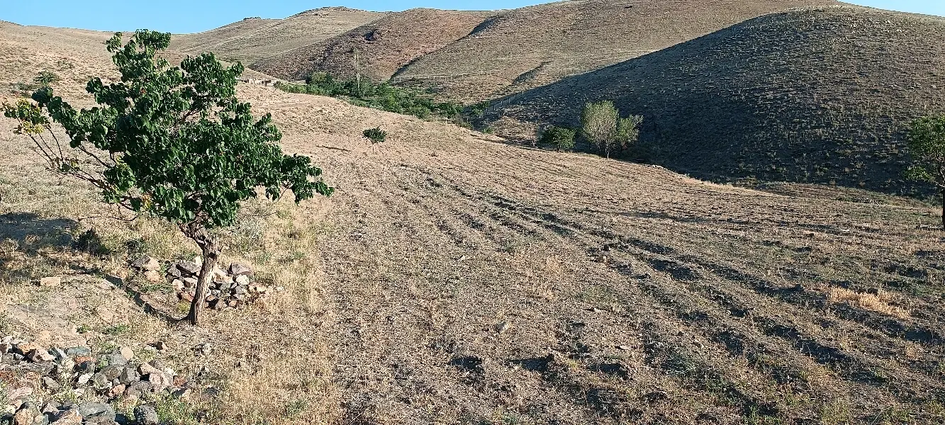 زمین کشاورزی در 5 کیلومتری زنجان