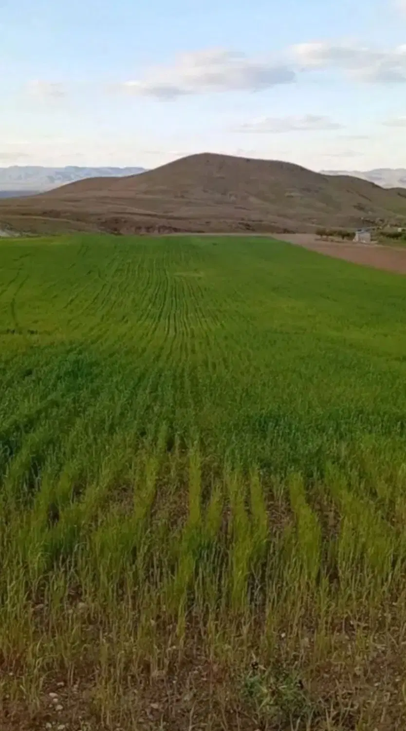 فروش زمین زراعی نرسیده به روستای حاج آرش