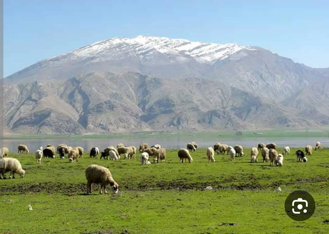 فروش زمین کشاورزی