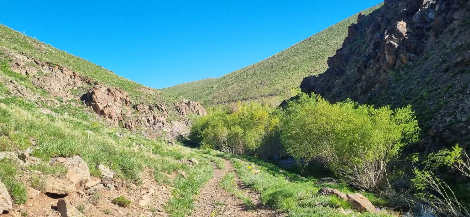 زمین کوی ارم جوانی جمعیت