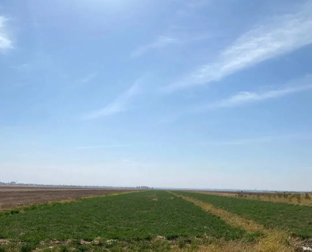 زمین کشاورزی