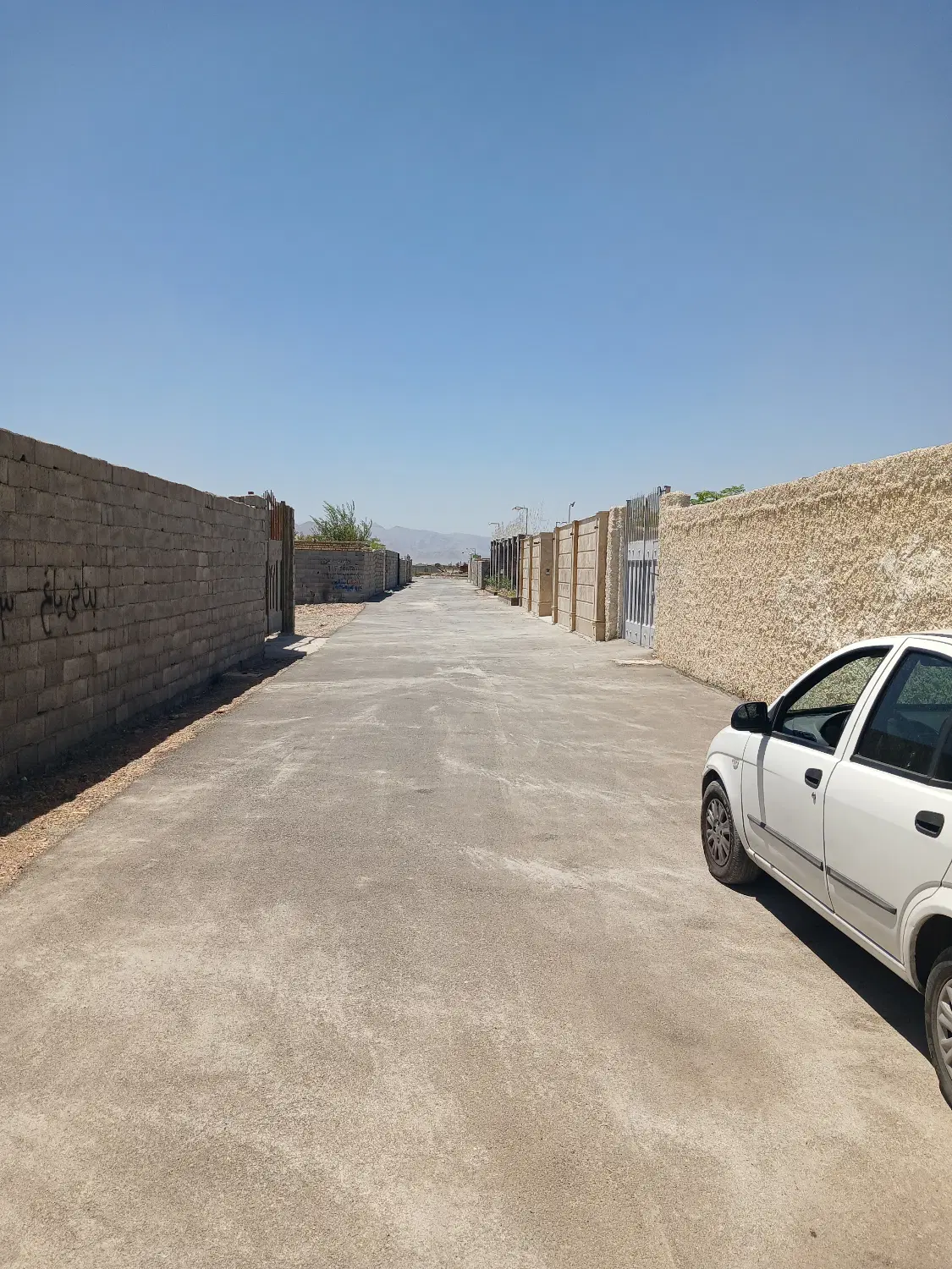 زمین باغی