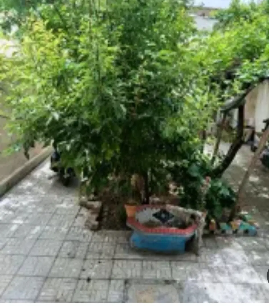 منزل ویلایی 112متر جنوبی