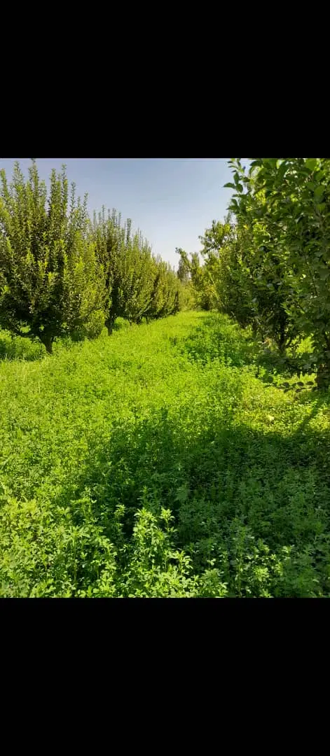 زمین خالی ۹۰۰ متر
