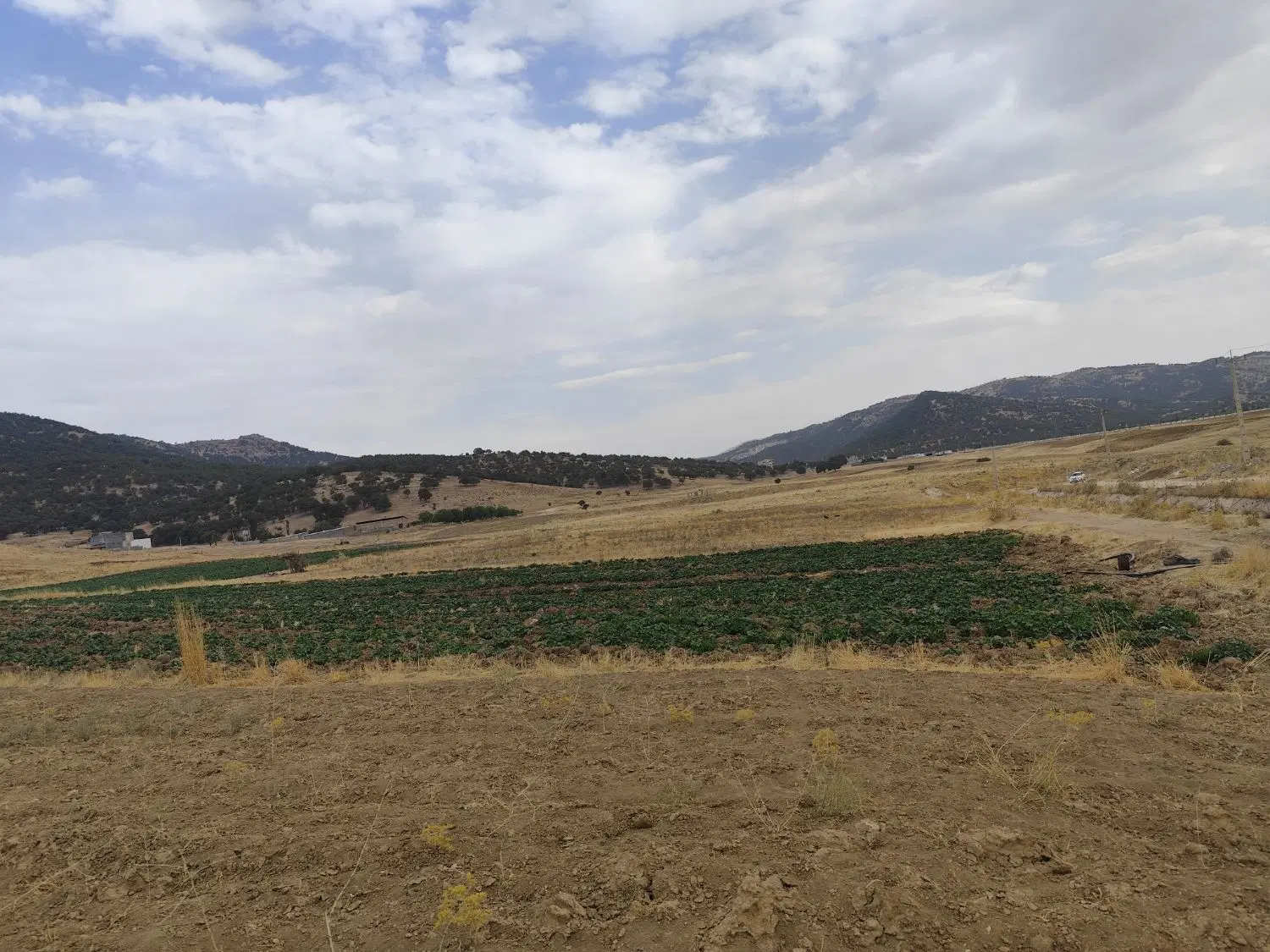 زمین سروک کانون مساجد