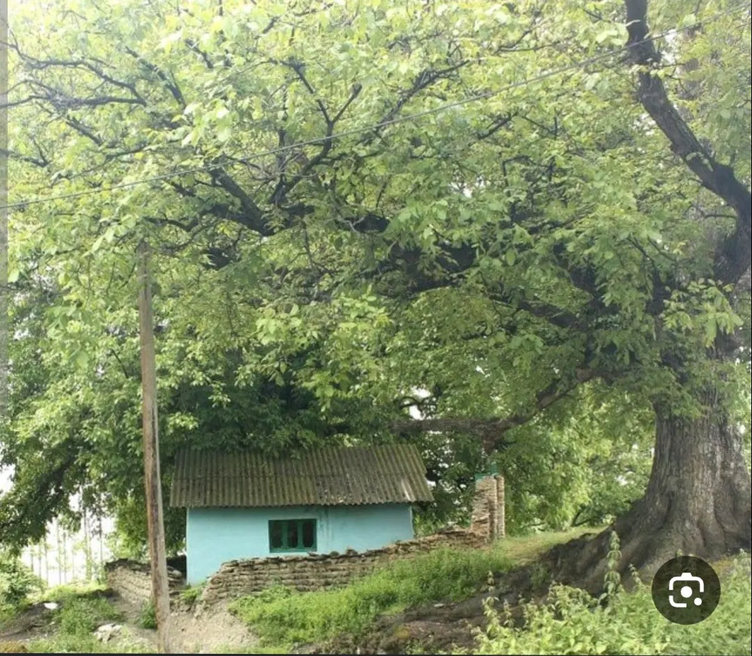 زمین مسکونی روستای کنداب