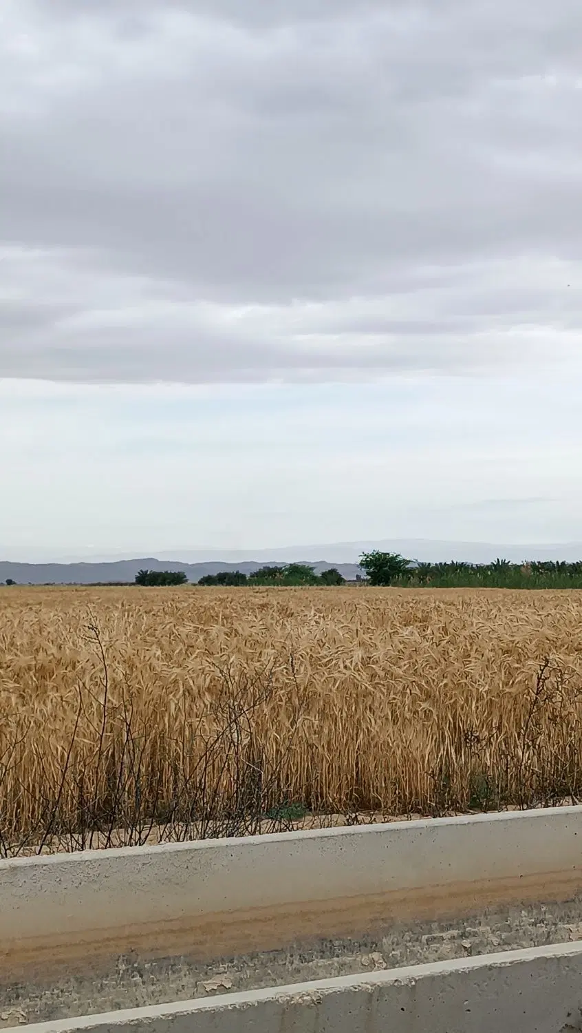 پذیرش اجاره گریدر برای زمین در رامشیر