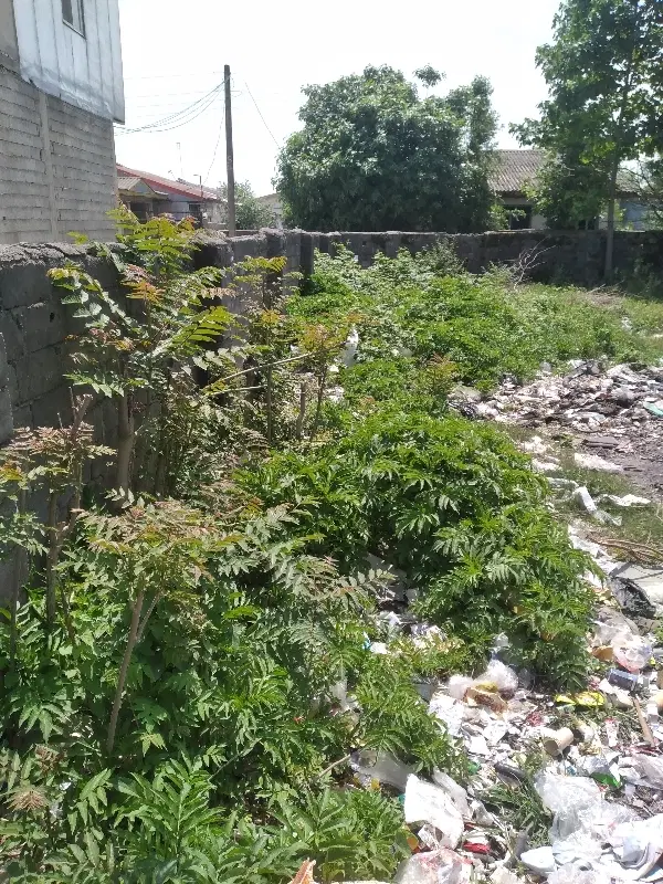 یک قطعه زمین ۹۳۰ متری مدارک کامل مسکونی