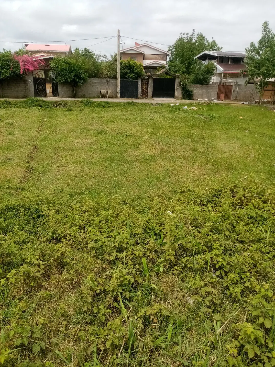 زمین به متراژ 301 متر مربع
