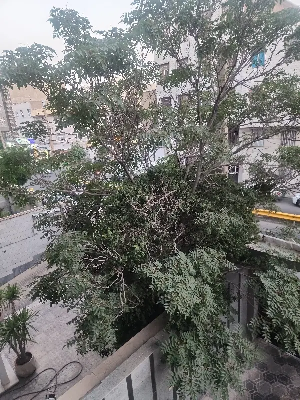 ۳۰۰ متر