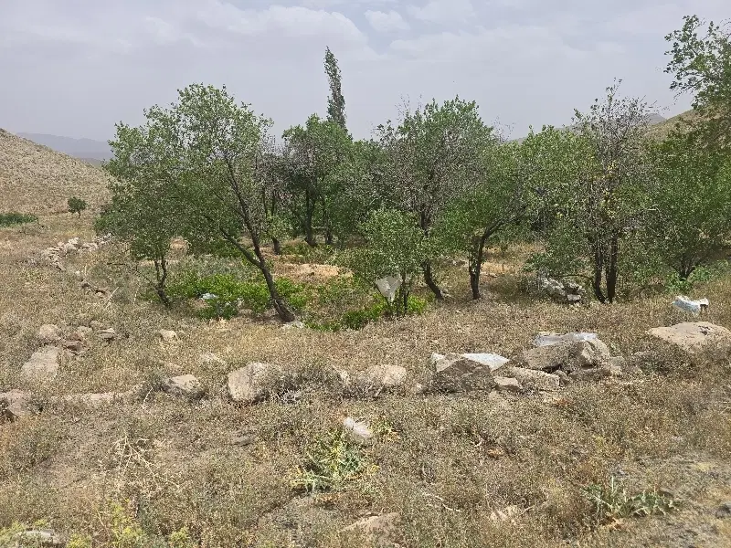 باغ خلجستان