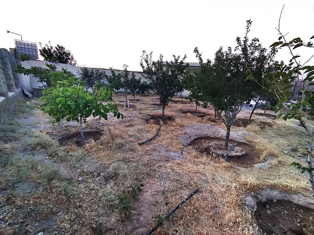 باغ ویلایی در کوی کاوه
