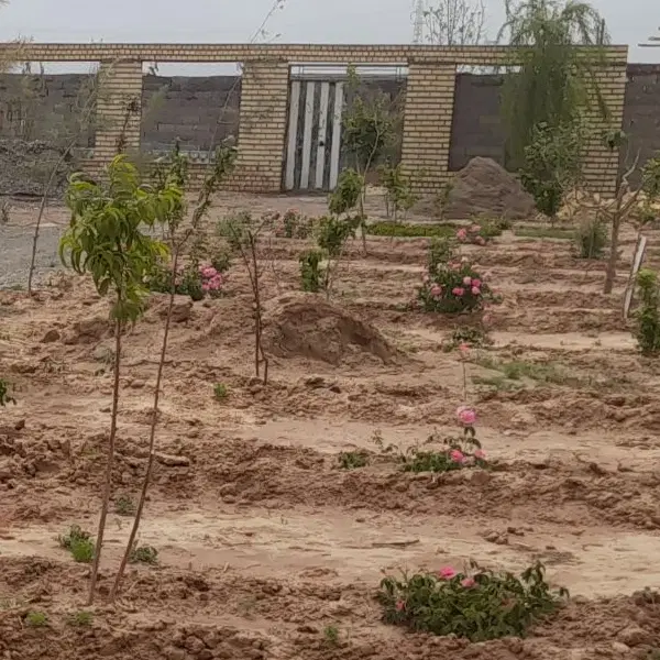 باغچه ۵۰۰متری آخر پنجتن