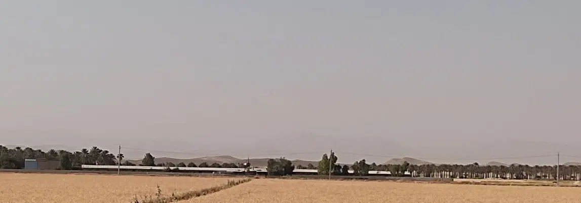 اجاره مرغداری گوشتی ۳۰۰۰۰ قطعه ای