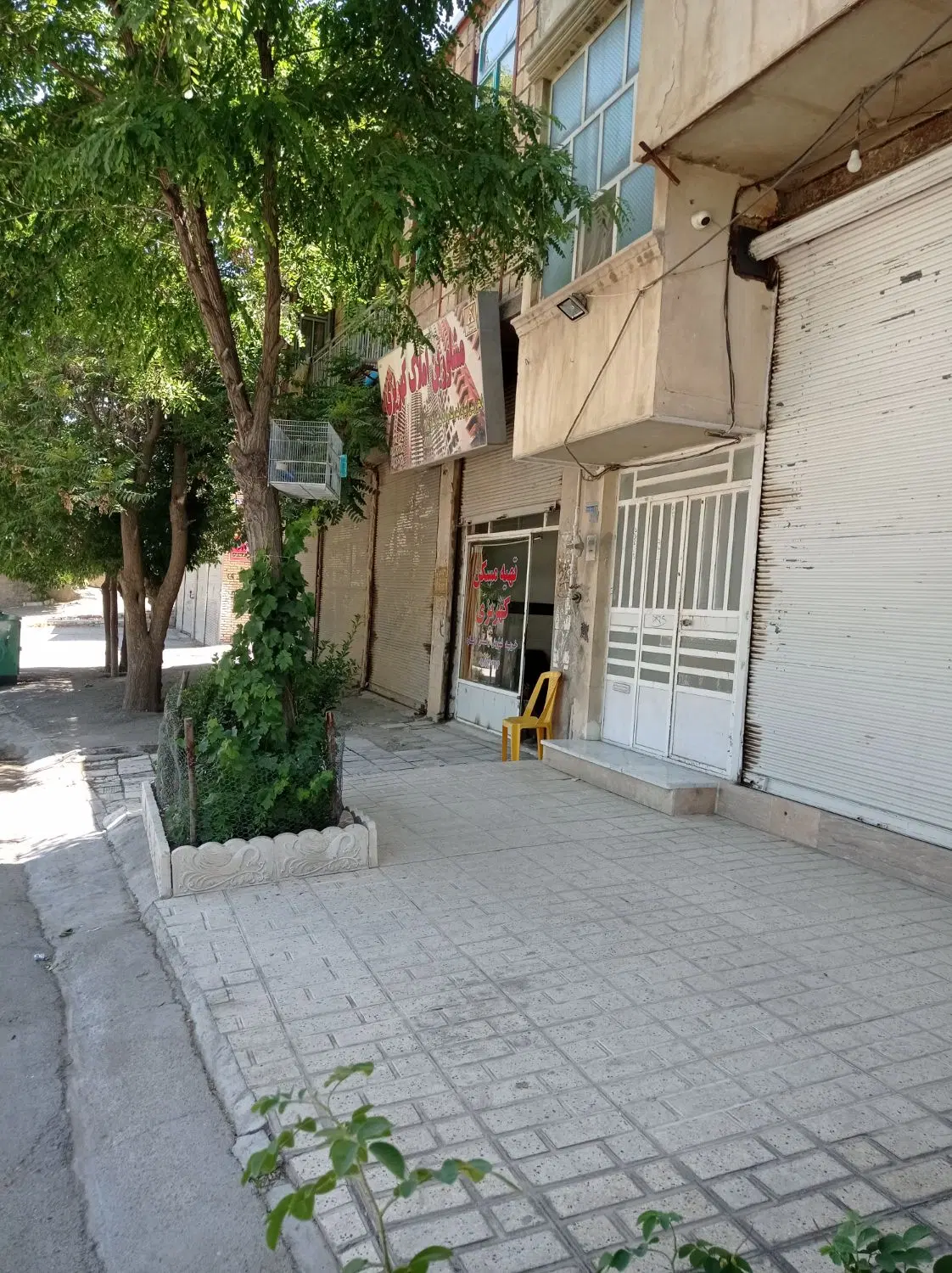 دو دهنه مغازه برخیابان اصلی صادقیه