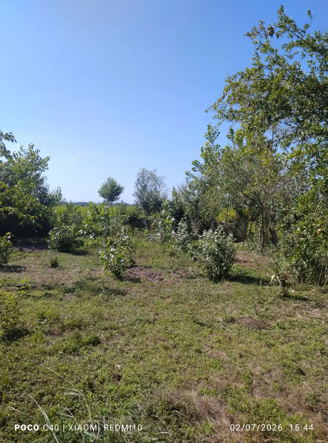 زمین مسکونی485متری