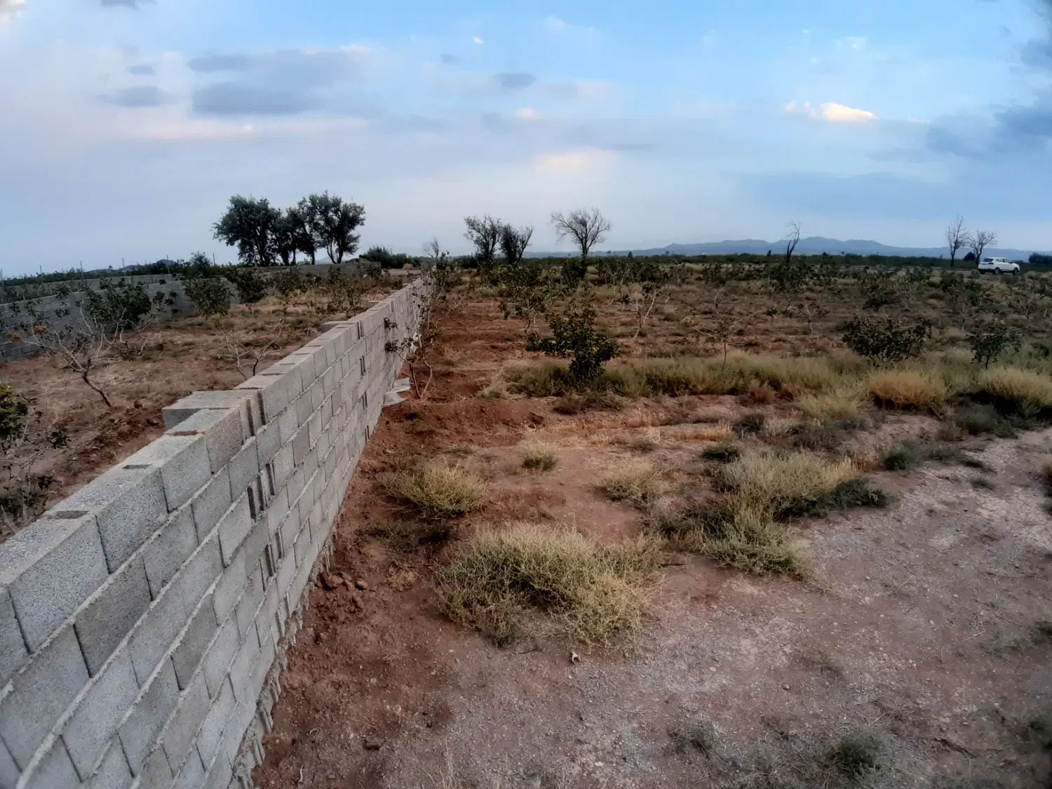 باغ پسته چهاردیواری