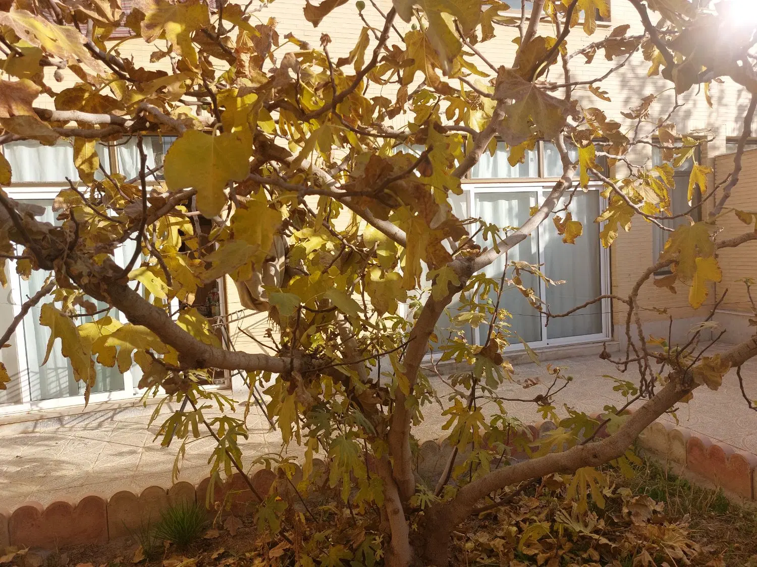 فروش منزل ویلایی کلنگی حیاط دار